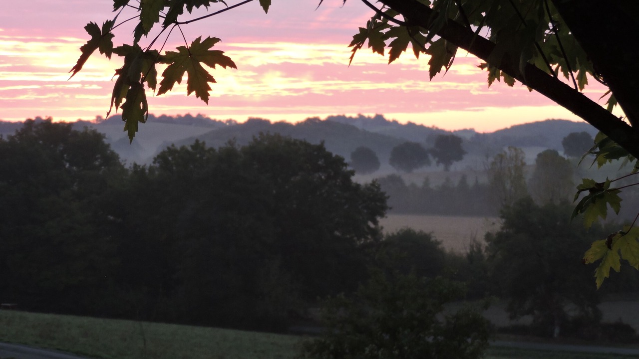 Photo of Others in Peyrusse-Grande