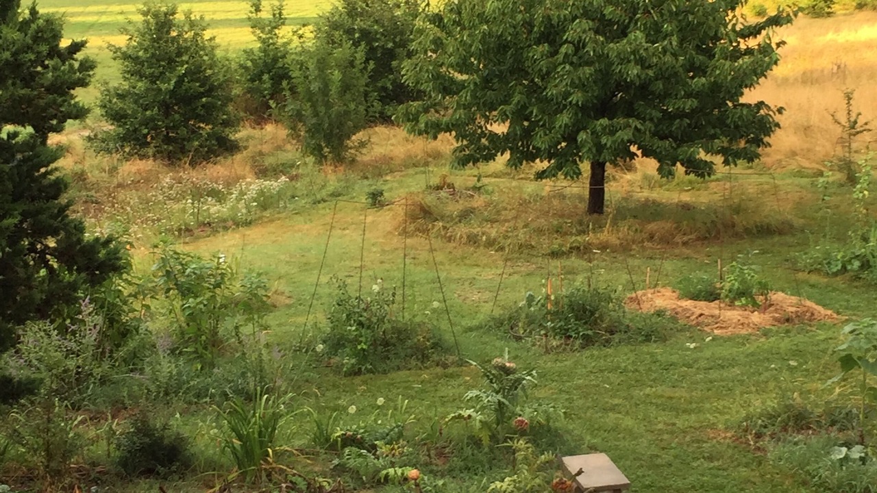 Photo of Others in Marssac-sur-Tarn