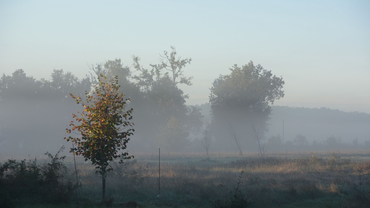 Photo of Outdoor in Marssac-sur-Tarn