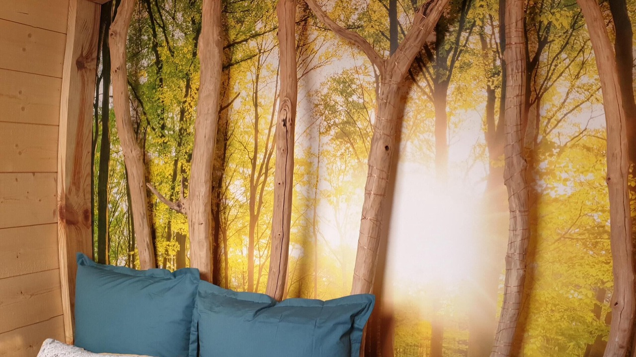 Photo of Bedroom in Samois-sur-Seine