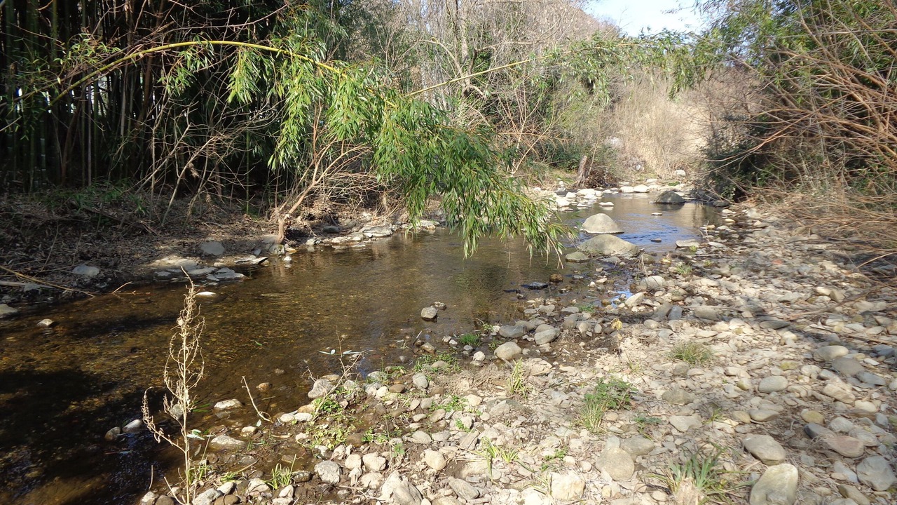 Photo of Outdoor in Maureillas-Las-Illas