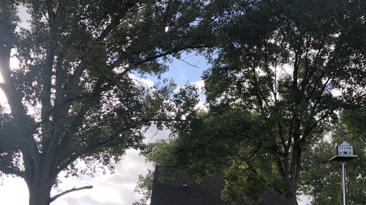 Photo of Outdoor in Redfield