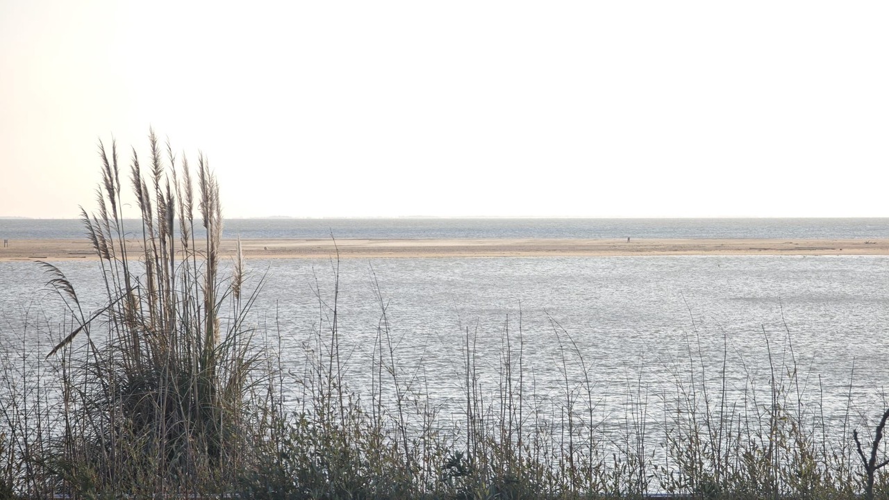 Photo of Others in La Faute-sur-Mer
