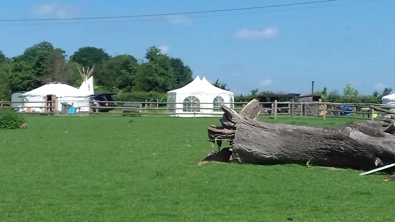 Photo of Others in Stourbridge