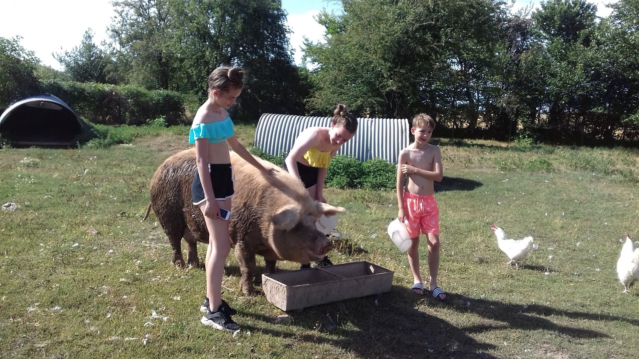 Photo of Others in Stourbridge