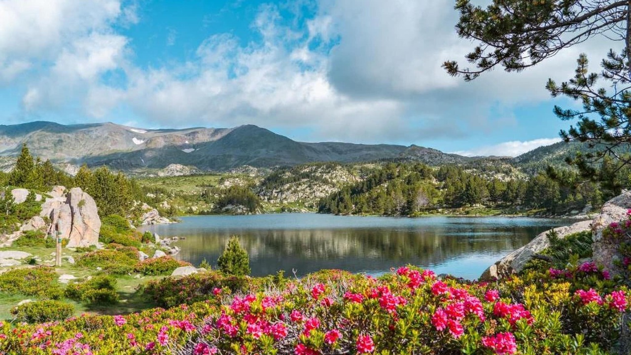 Photo of Others in Quillan