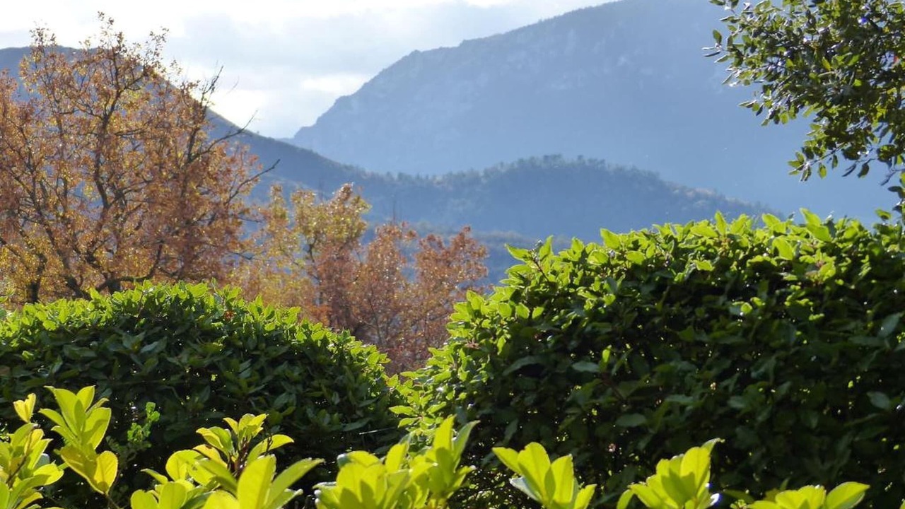 Photo of Others in Quillan