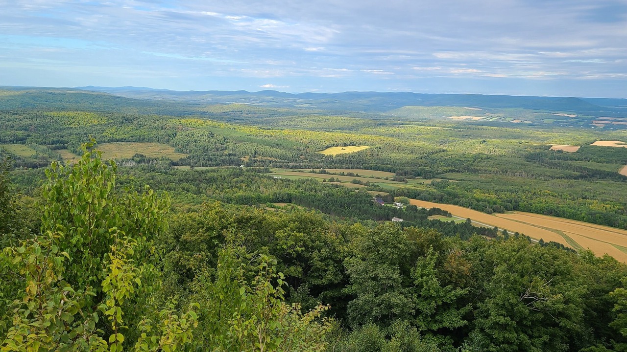 Photo of Others in Aroostook