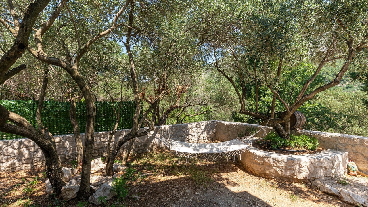 Photo of Others in Kremena