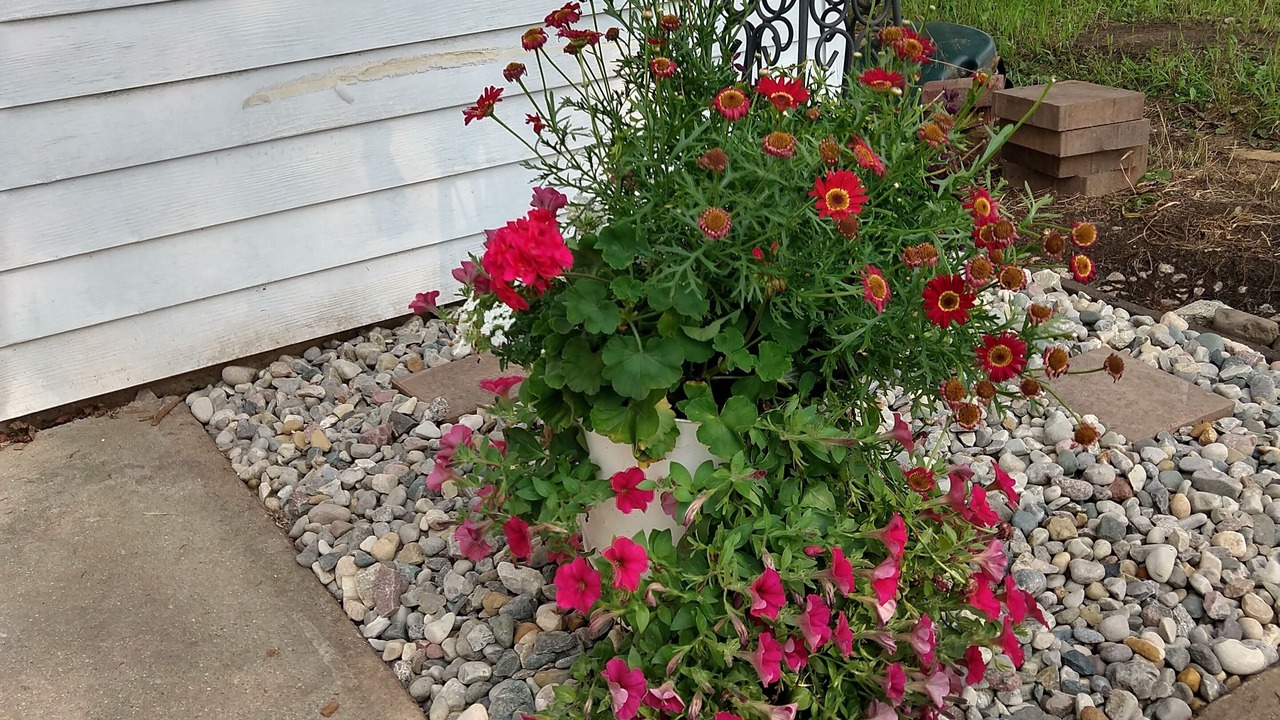 Photo of Outdoor in Hope
