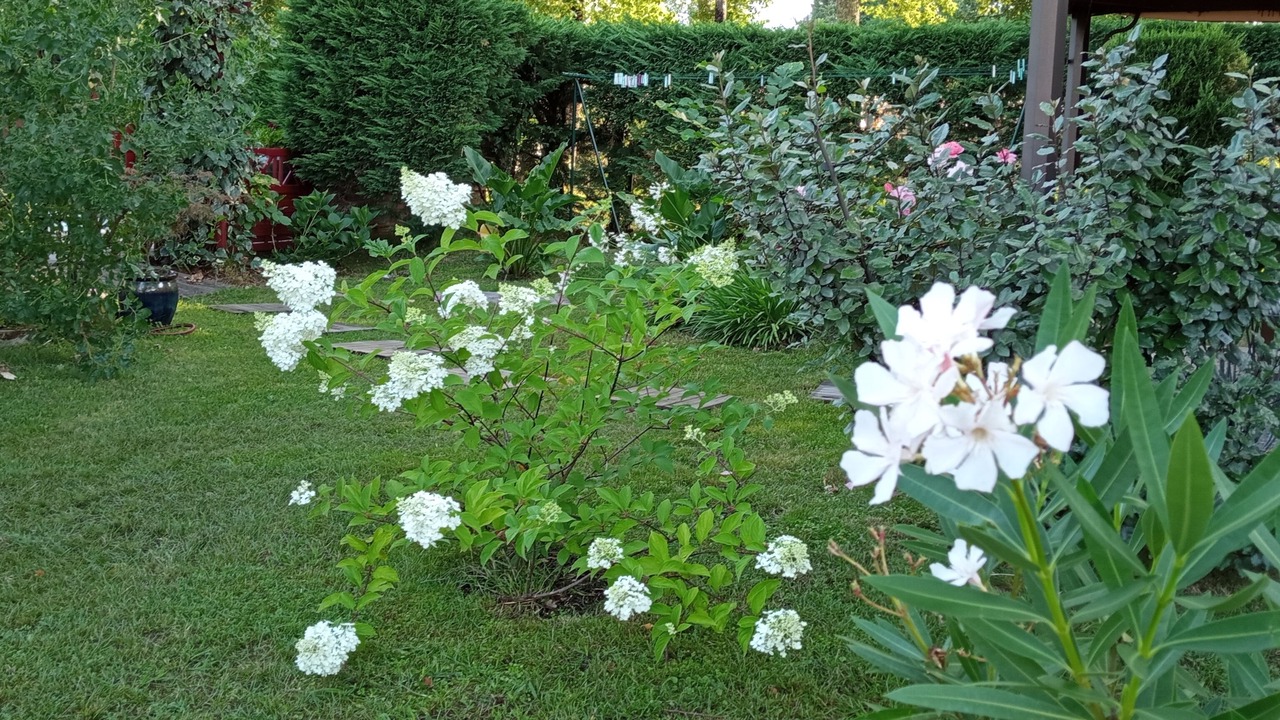 Photo of Outdoor in Lanton