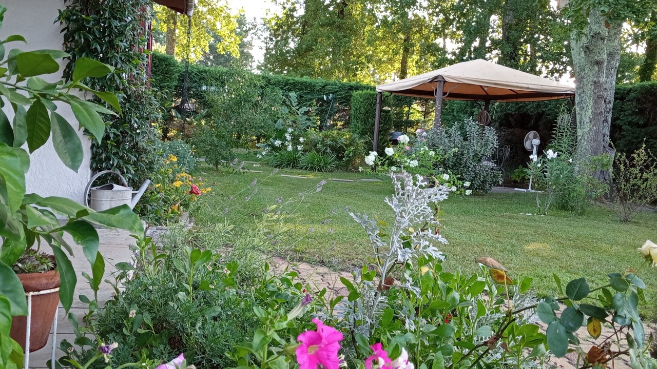 Photo of Outdoor in Lanton