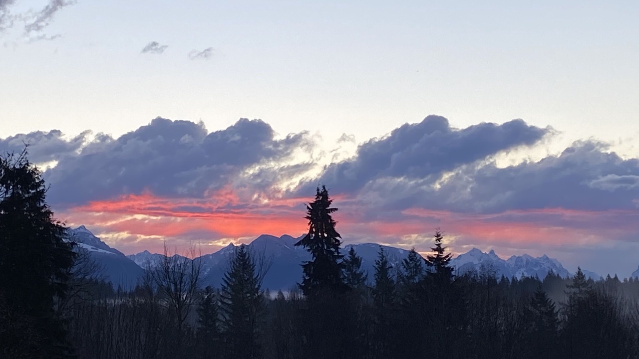 Photo of Others in Woods Creek