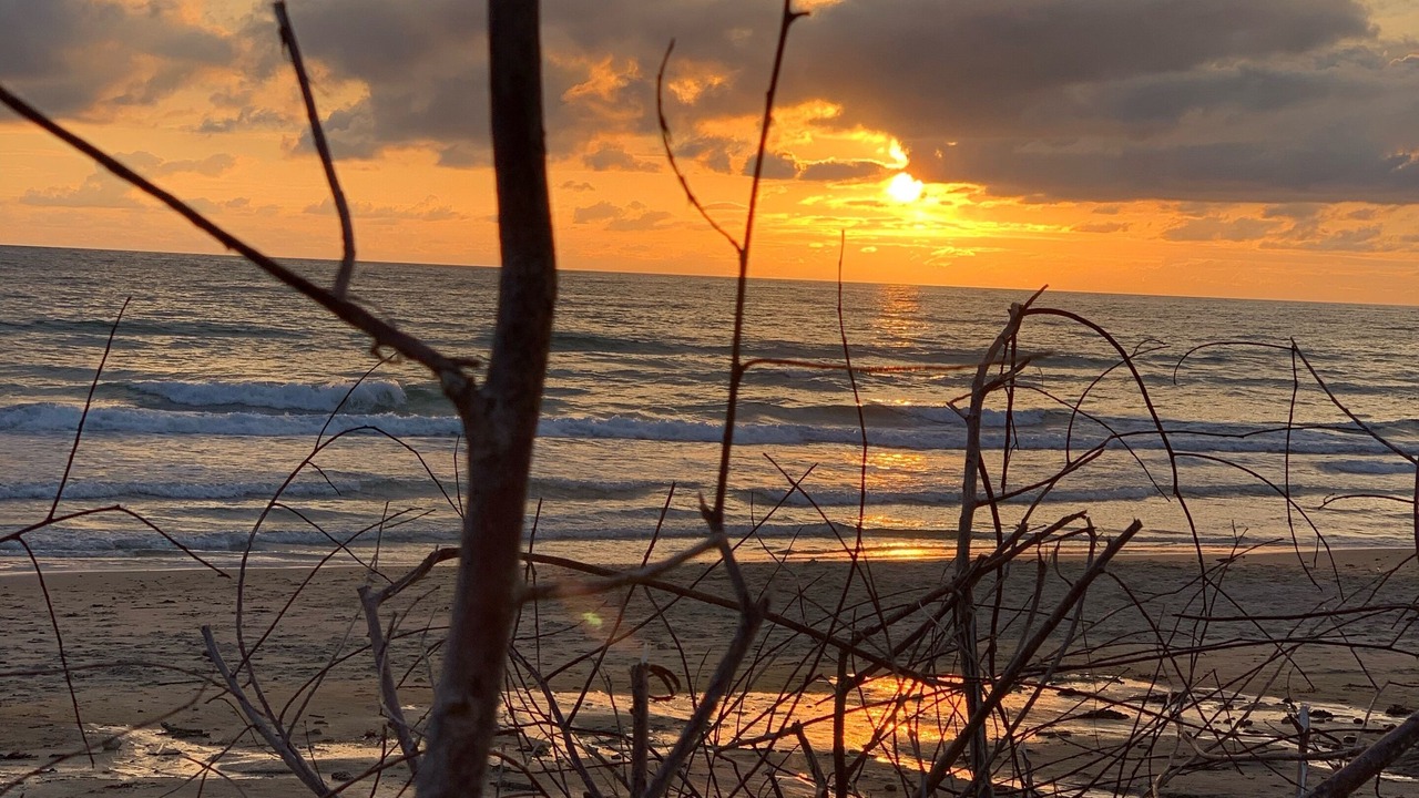 Photo of Others in Vensac