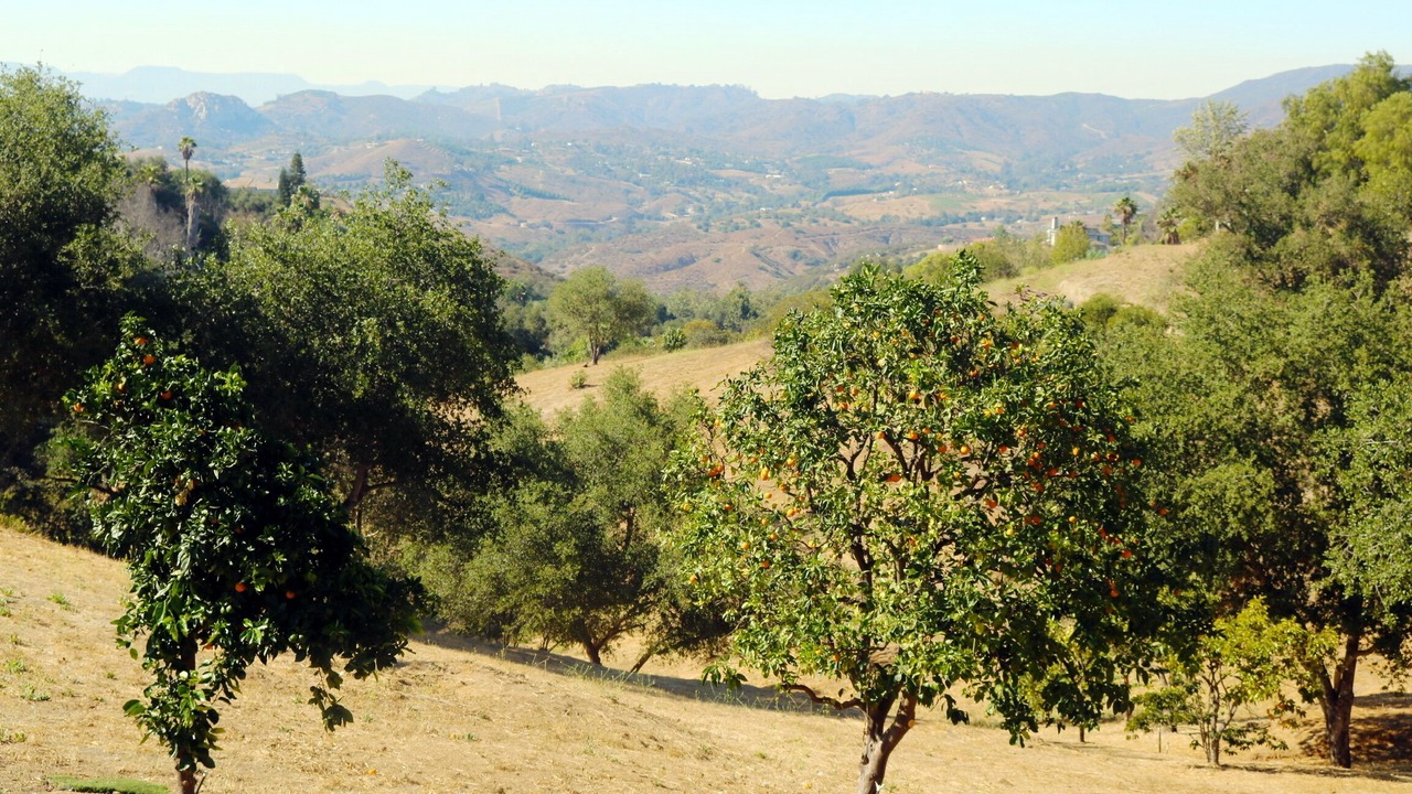Photo of Others in Fallbrook