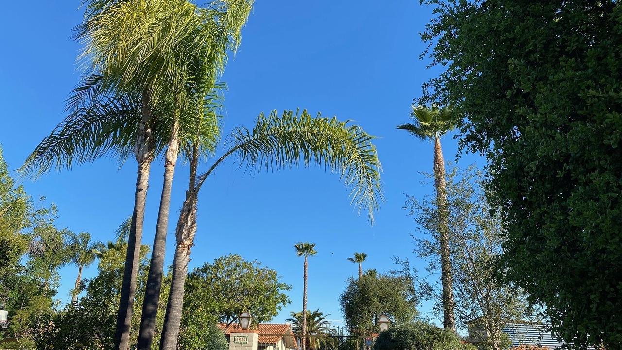 Photo of Others in Fallbrook