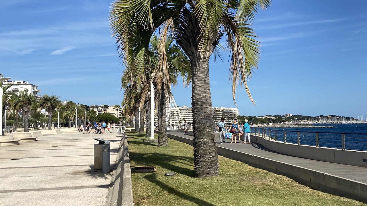 Photo of Others in Valescure