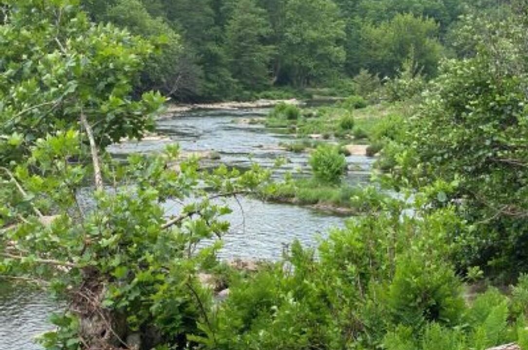 Photo of Outdoor in Chambonas
