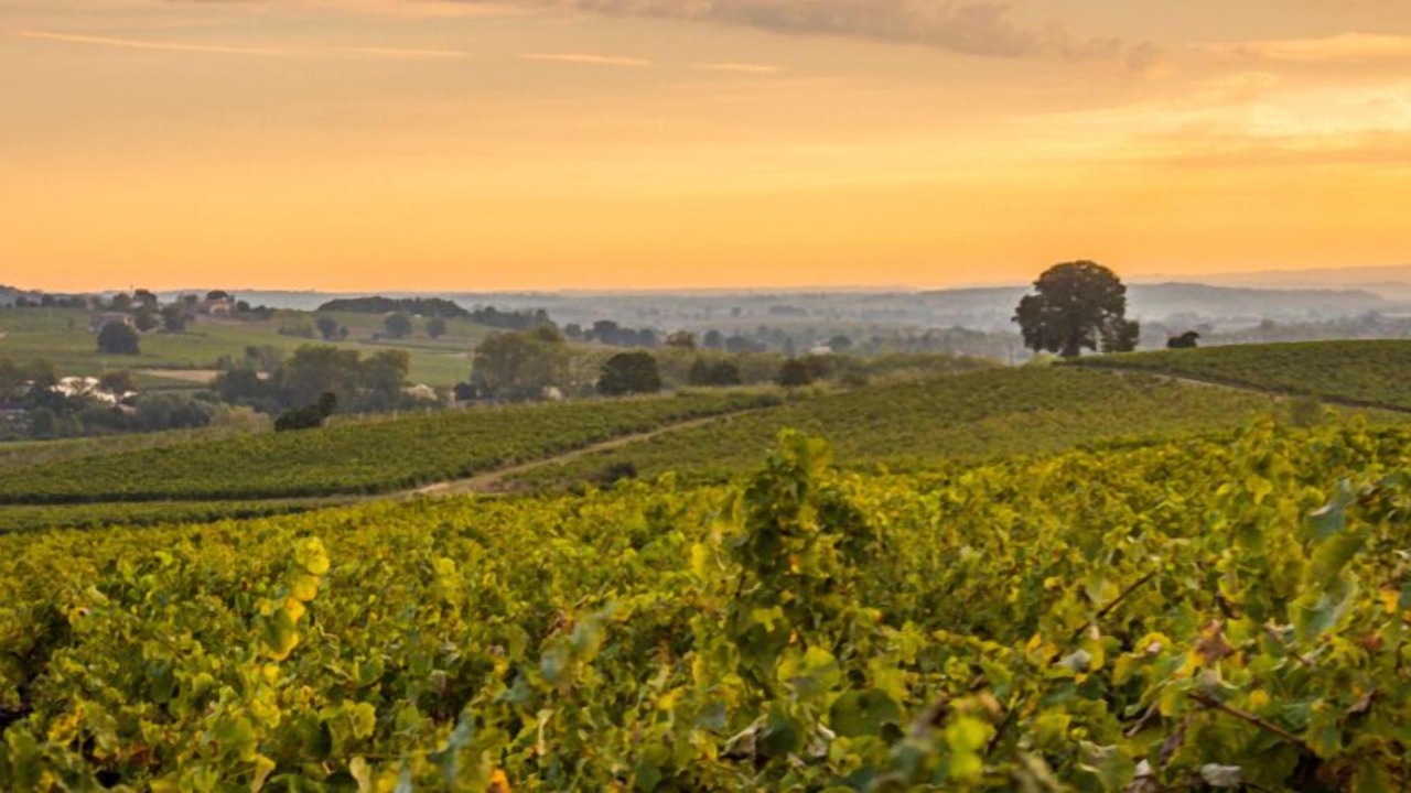 Photo of Others in Gaillac