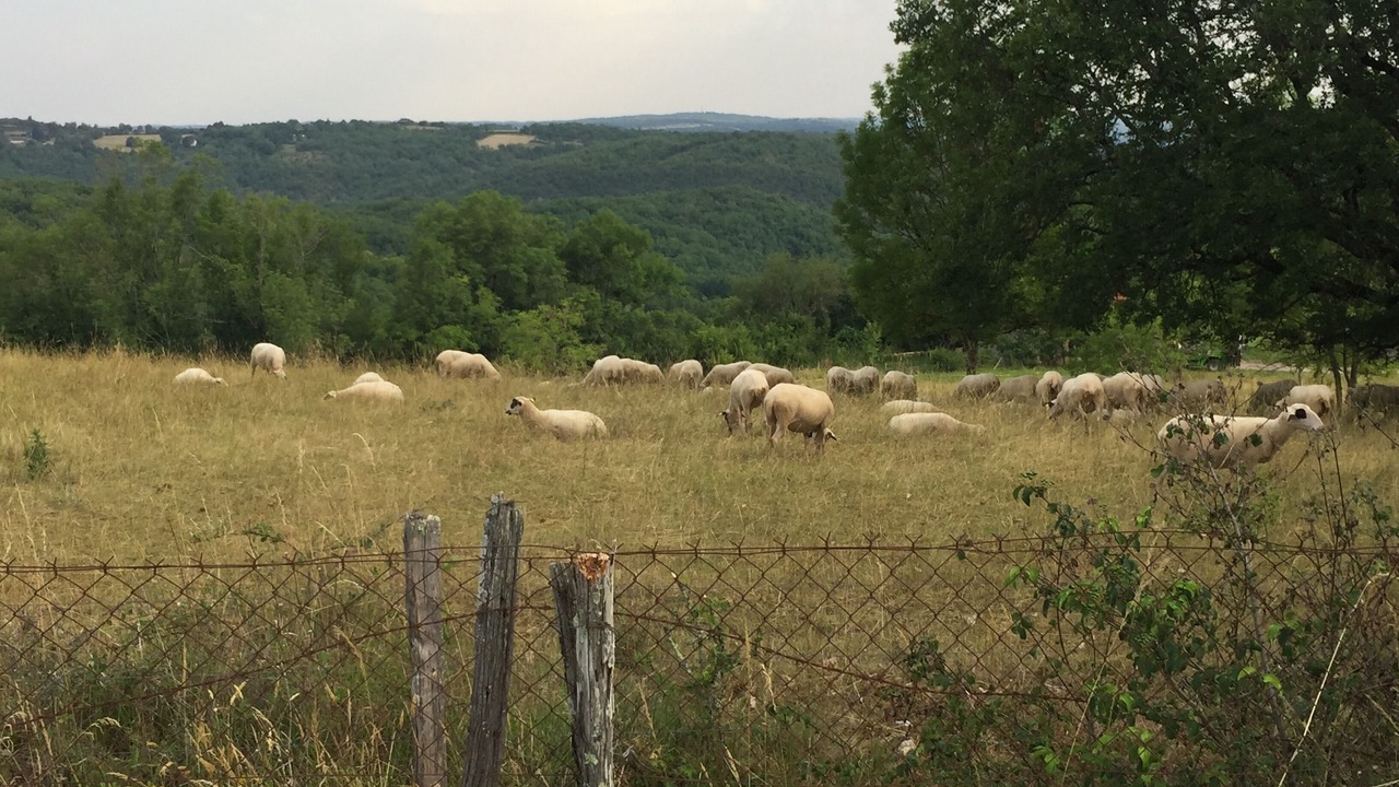 Photo of Others in Payrac