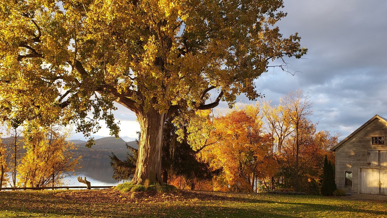 Photo of Others in Moriah Center