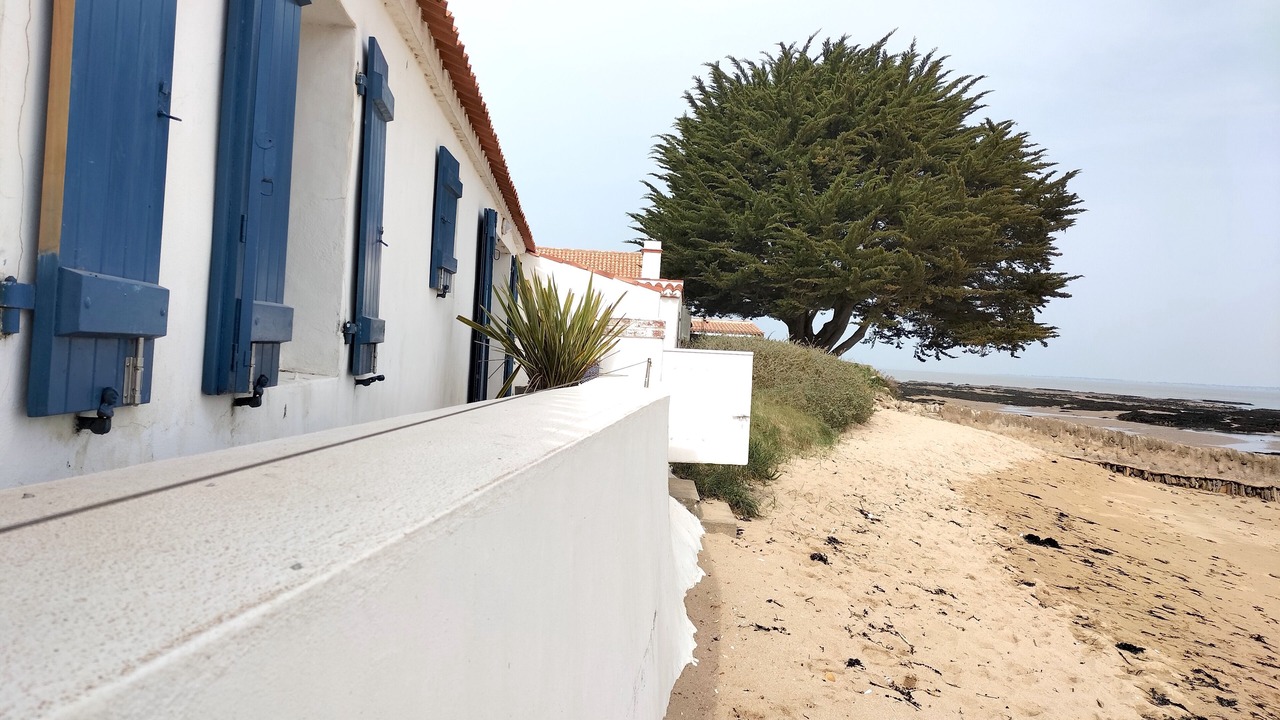 Photo of Others in Noirmoutier-en-l'Ile