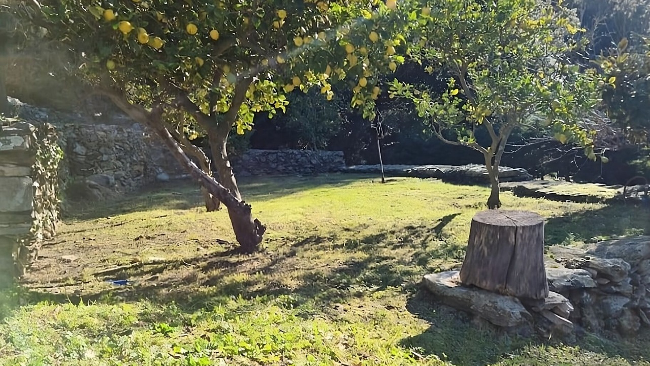 Photo of Outdoor in Nonza