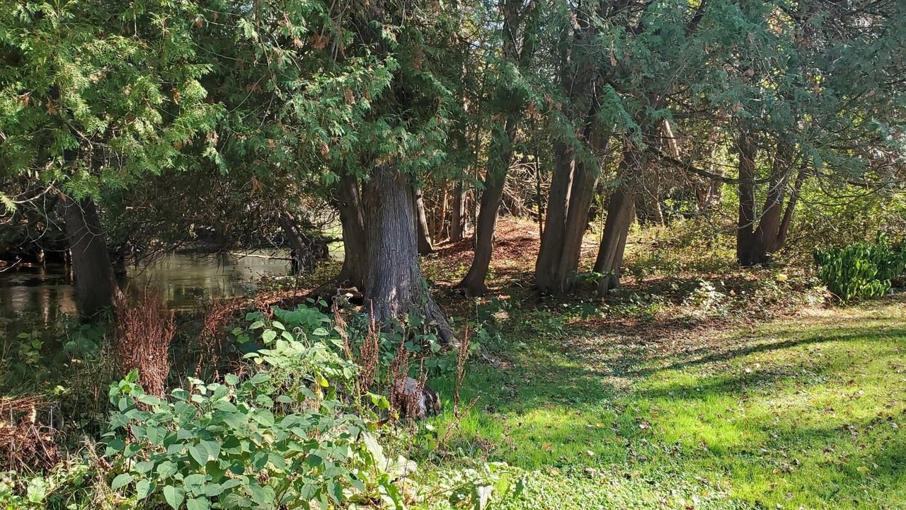 Photo of Others in East Jordan