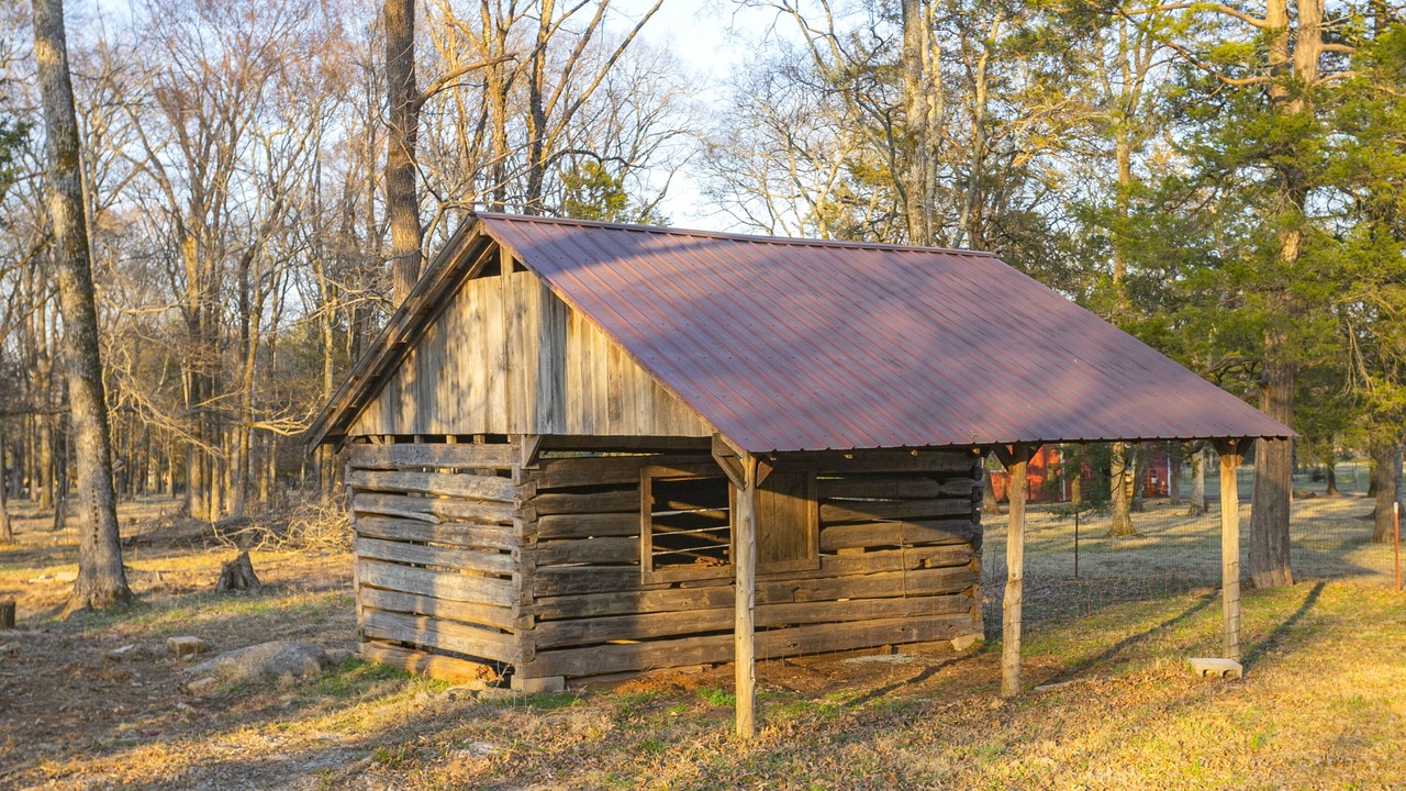 Photo of Outdoor in Mount Juliet