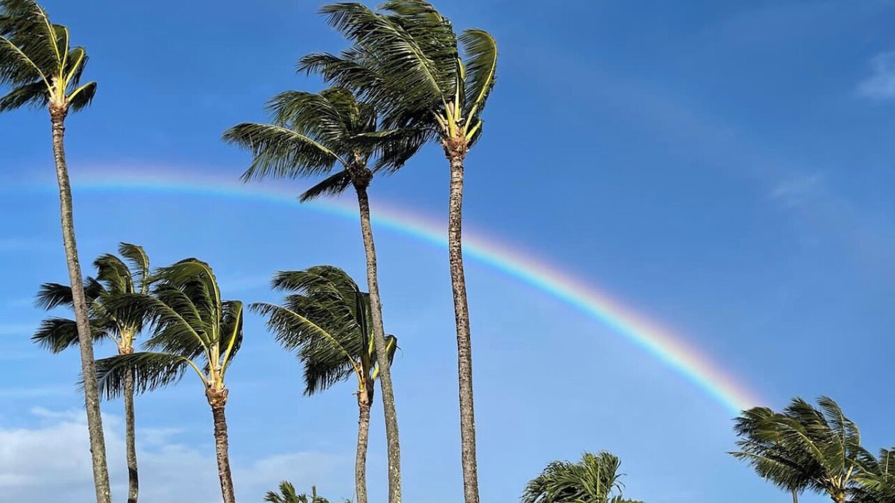 Photo of Others in Kuau