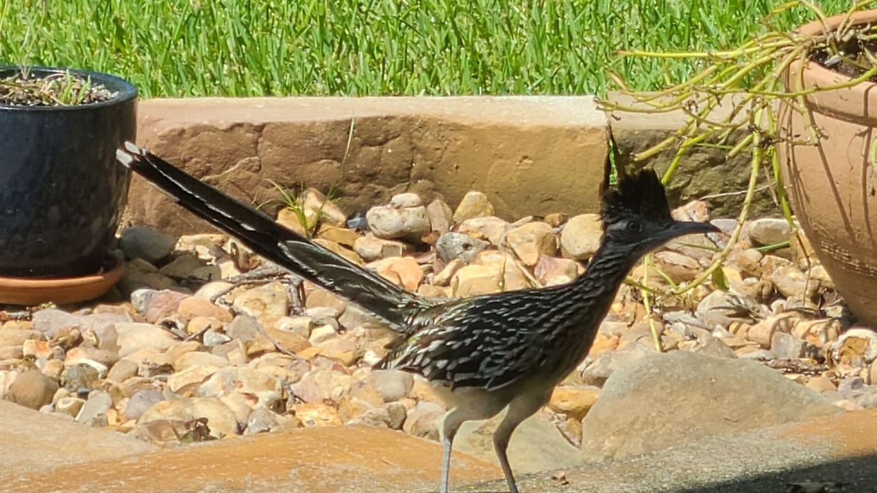 Photo of Outdoor in Lee County