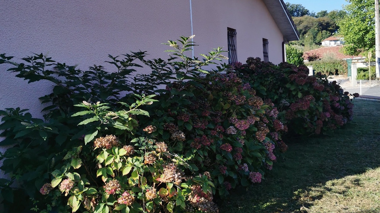 Photo of Outdoor in Salies-du-Salat
