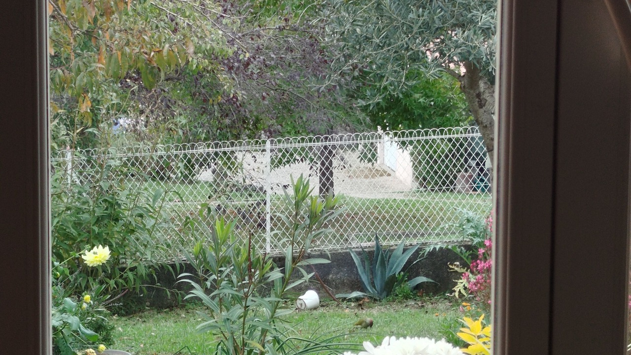 Photo of Others in Salies-du-Salat