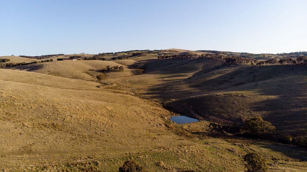 Photo of Others in Portland