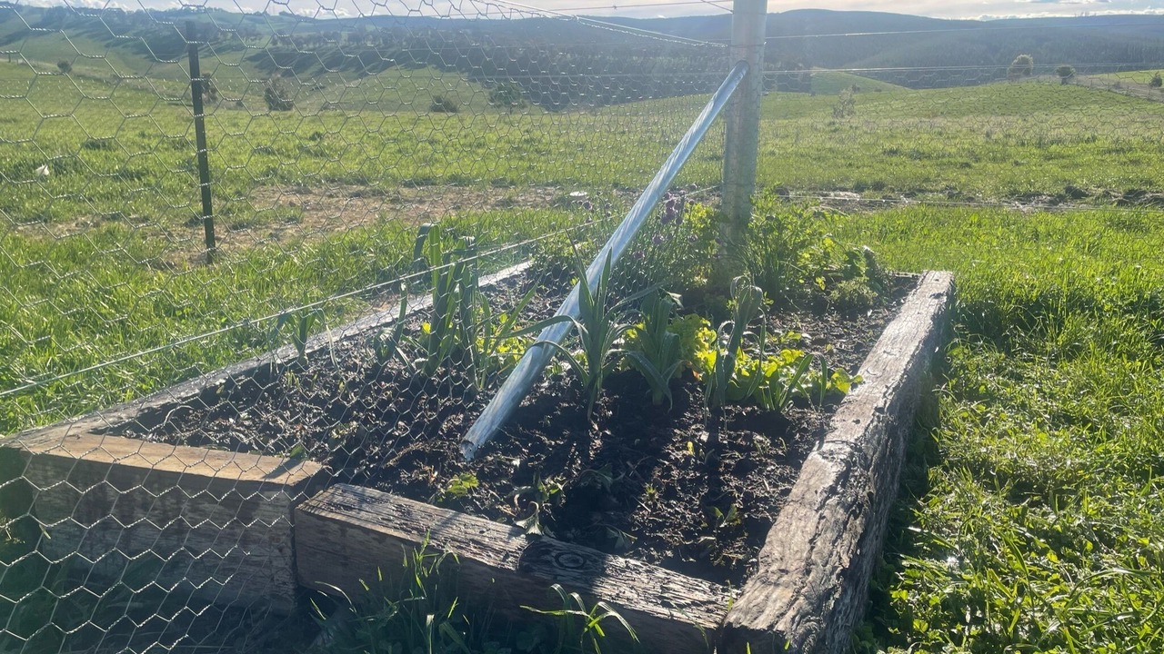 Photo of Outdoor in Portland