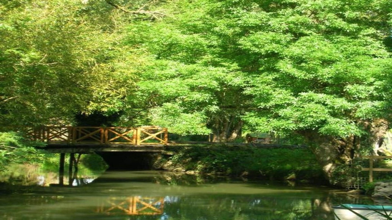 Photo of Others in Azay-le-Rideau