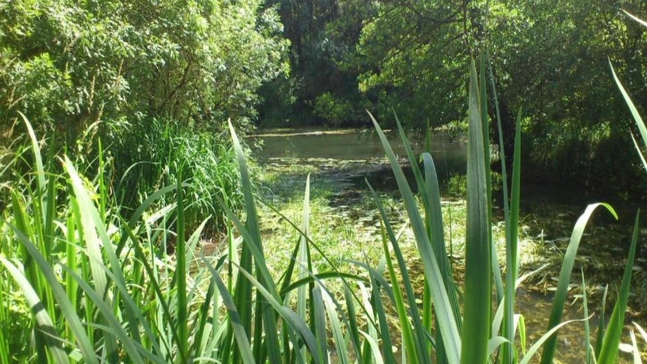 Photo of Others in Azay-le-Rideau