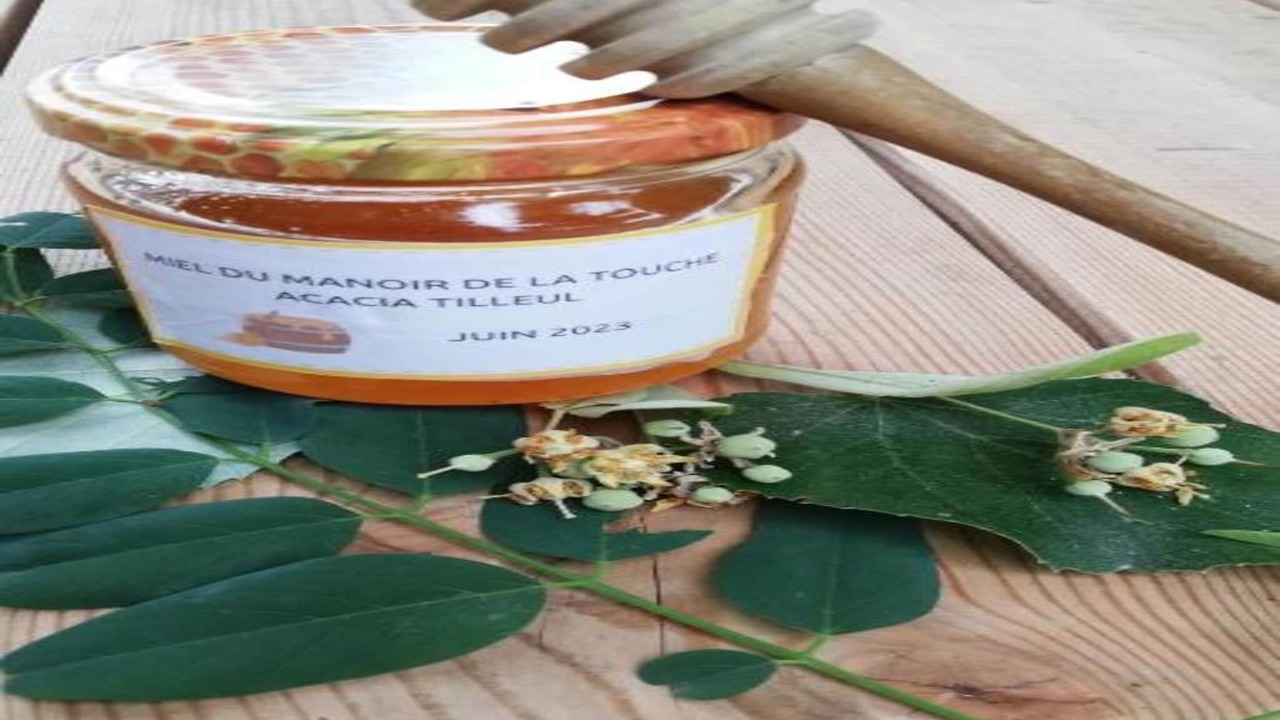 Photo of Others in Azay-le-Rideau