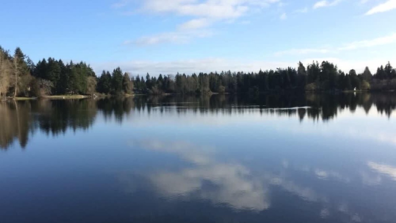 Photo of Outdoor in Bridle Trails