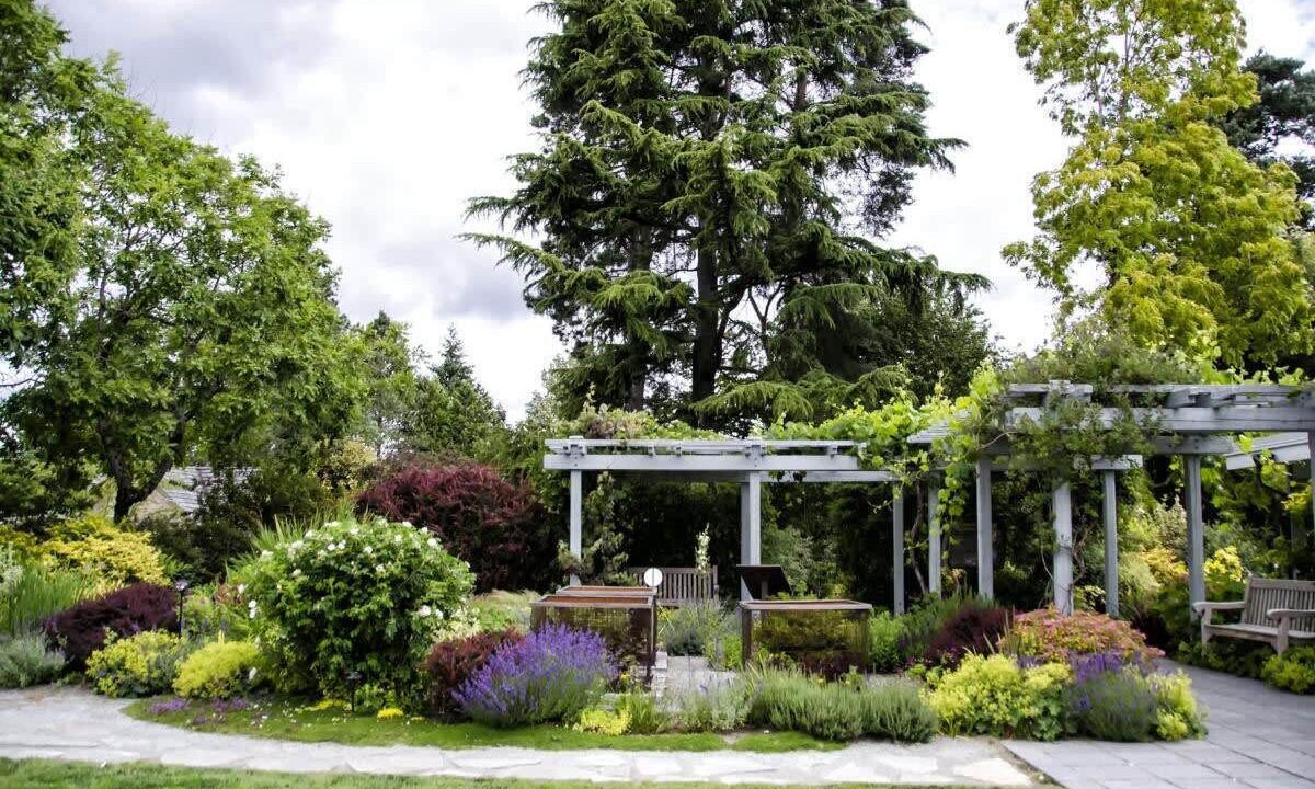 Photo of Outdoor in Bridle Trails