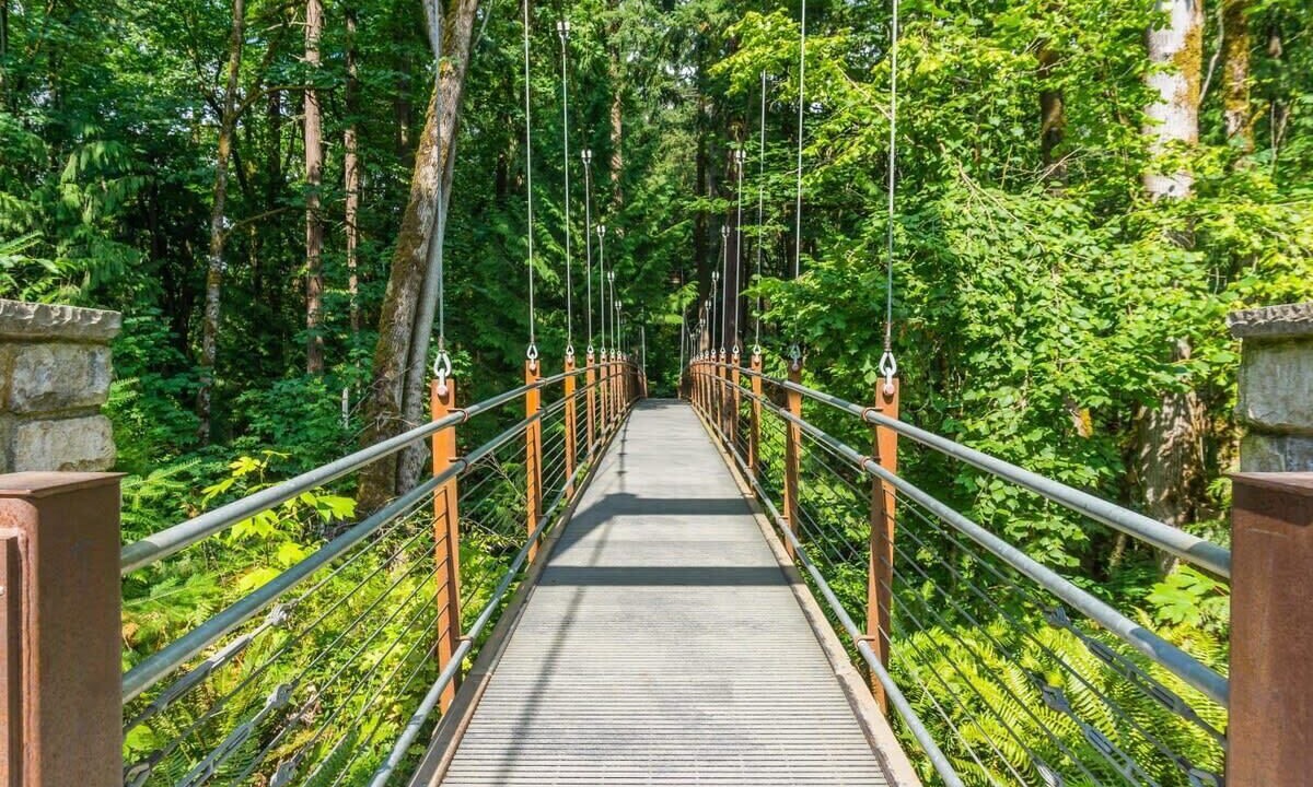 Photo of Others in Bridle Trails