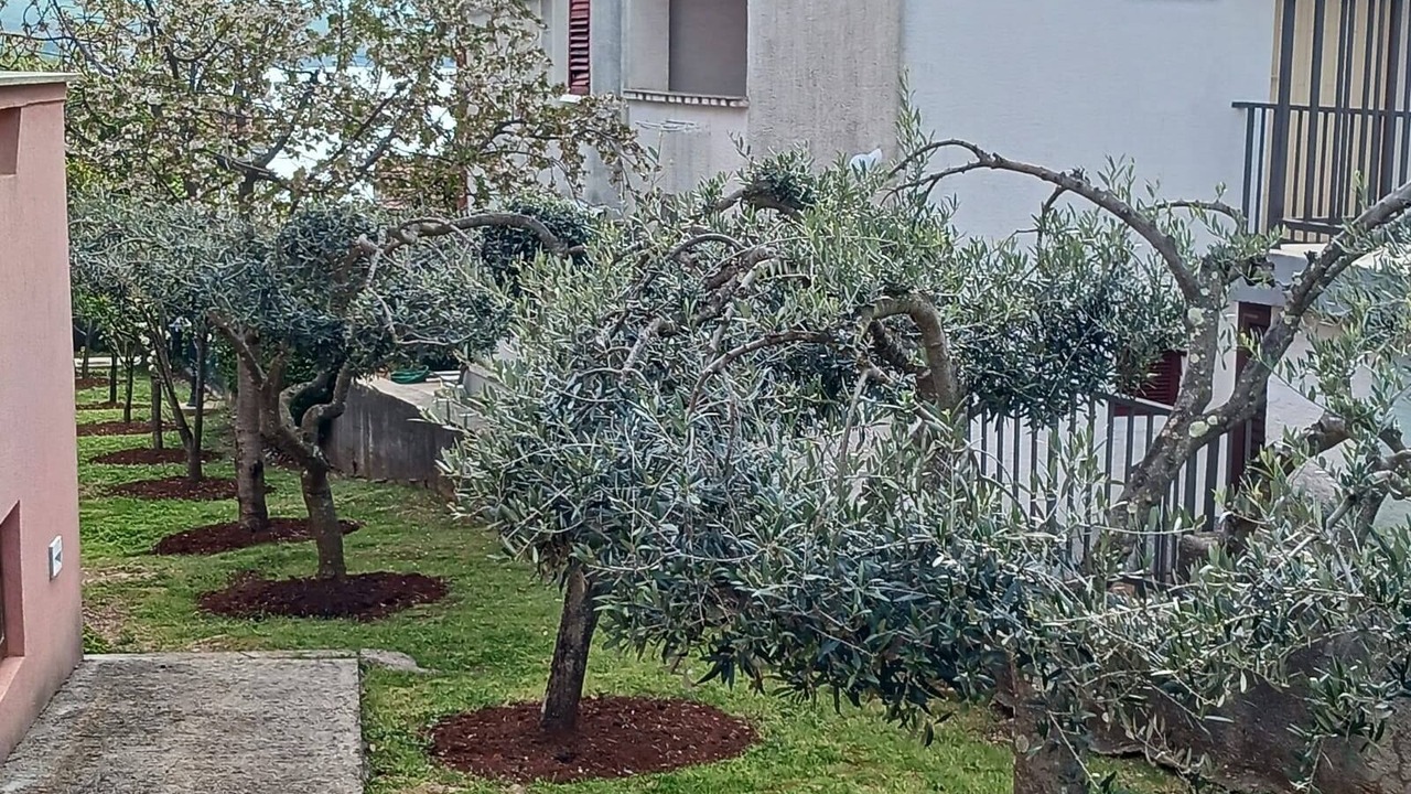 Photo of Outdoor in Malinska