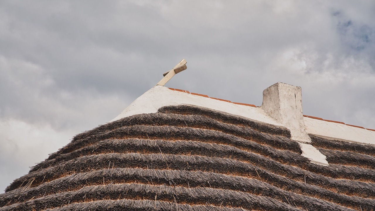 Photo of Others in Saintes-Maries-de-la-Mer