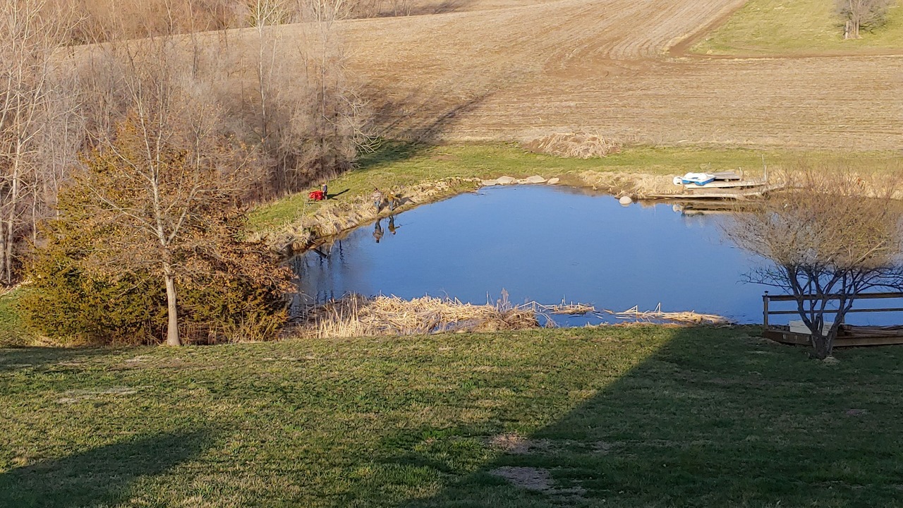 Photo of Others in Buchanan County
