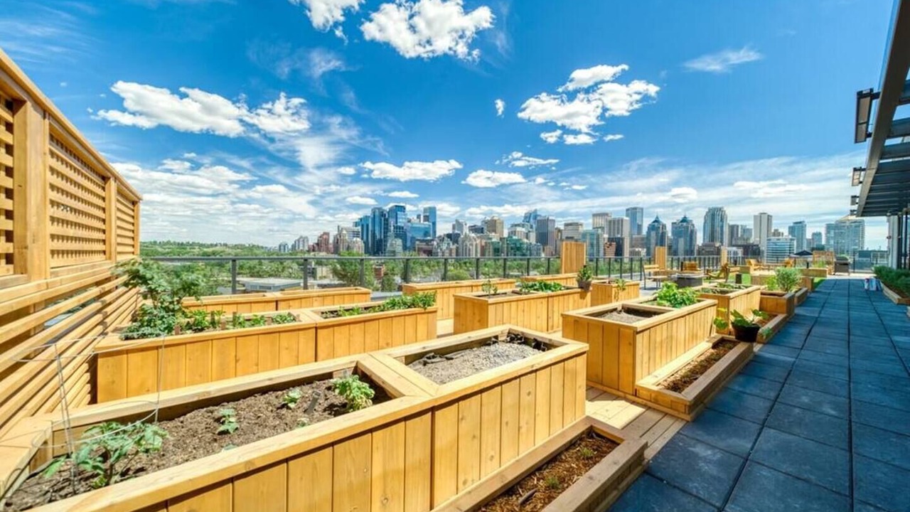 Photo of Outdoor in Kensington