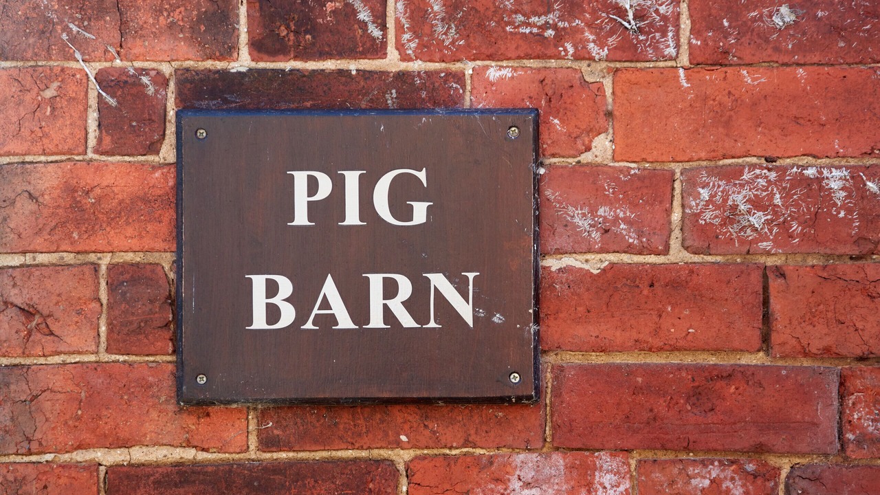 Photo of Outdoor in Dalbury Lees