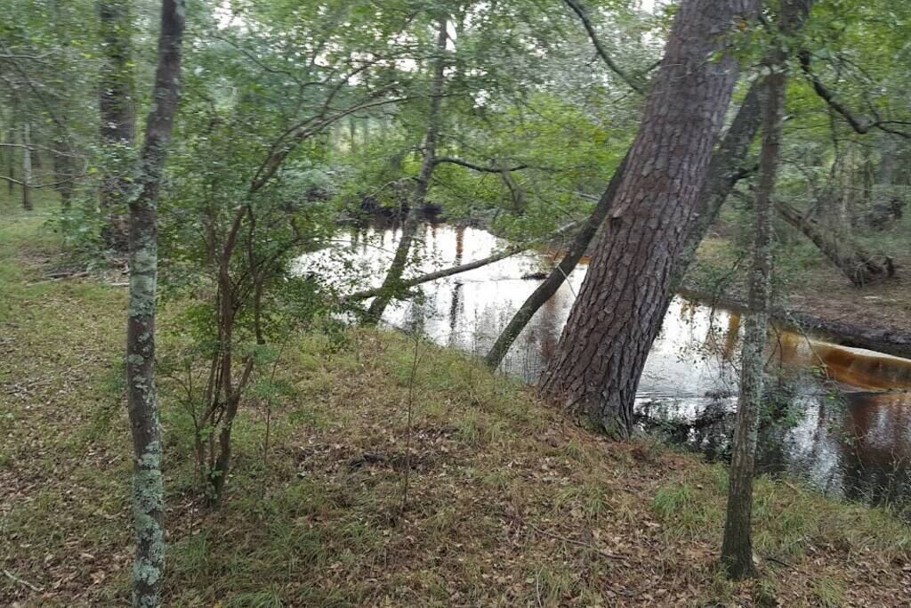 Photo of Others in Claxton