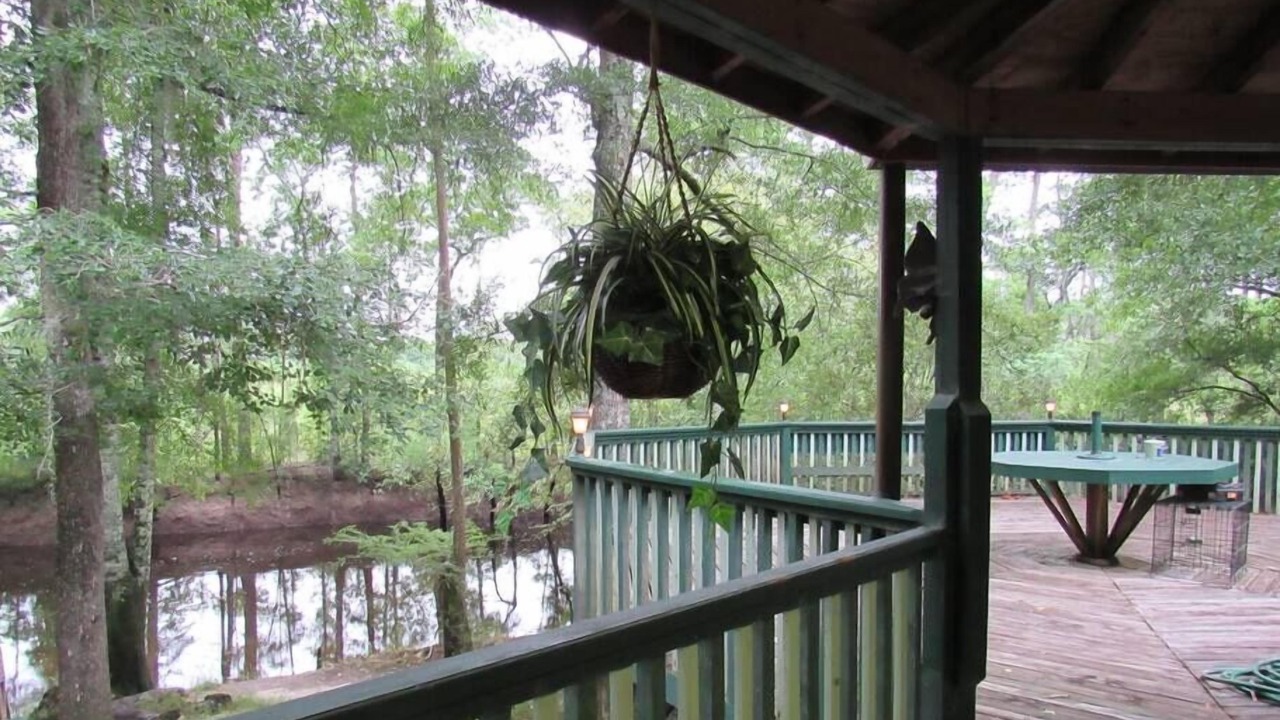 Photo of Others in Claxton