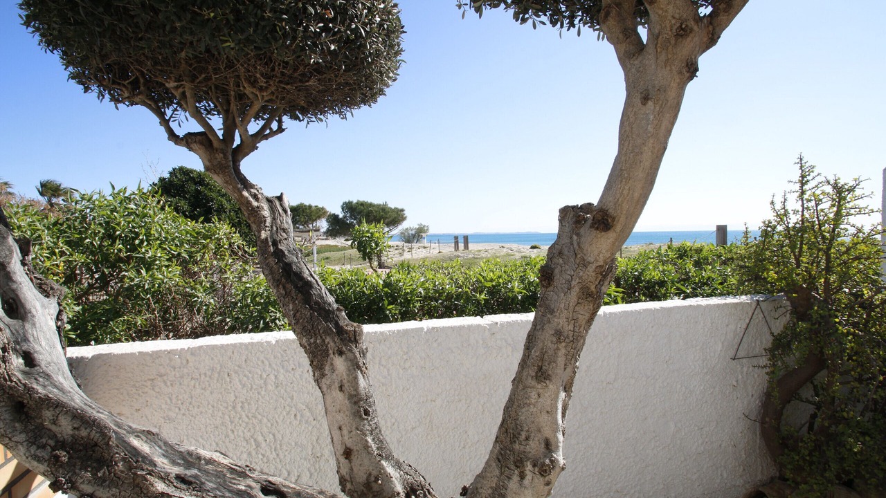 Photo of Outdoor in Parc de Mont-roig