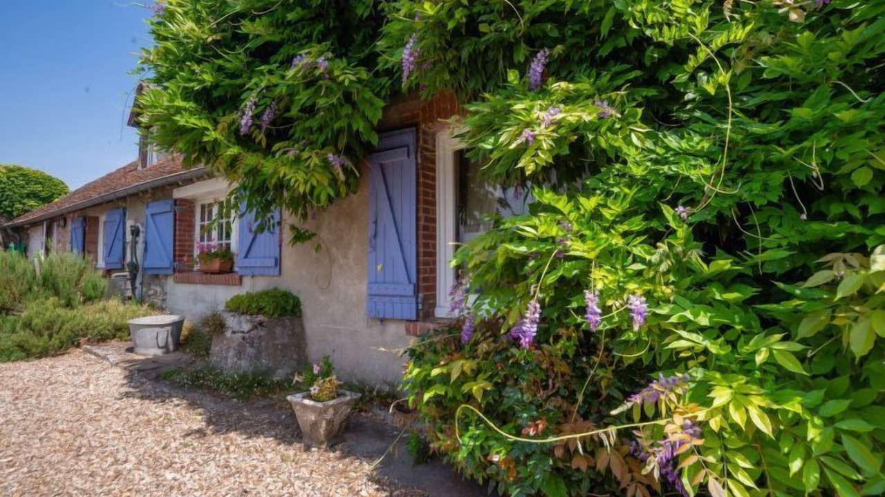 Photo of Others in Saint-Denis-sur-Loire